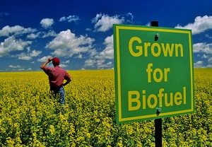 biofuel